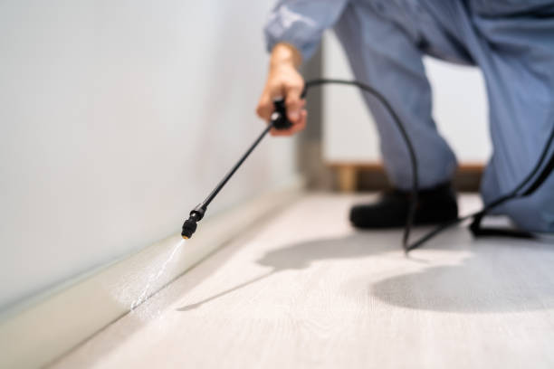 Licensed Termite Control service in Crisp County County, GA - Nex Pest Control