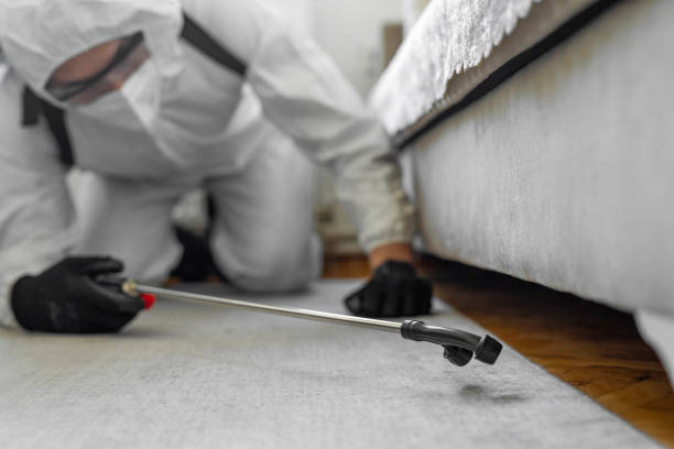 Professional Termite Control technician working in Crisp County County, GA